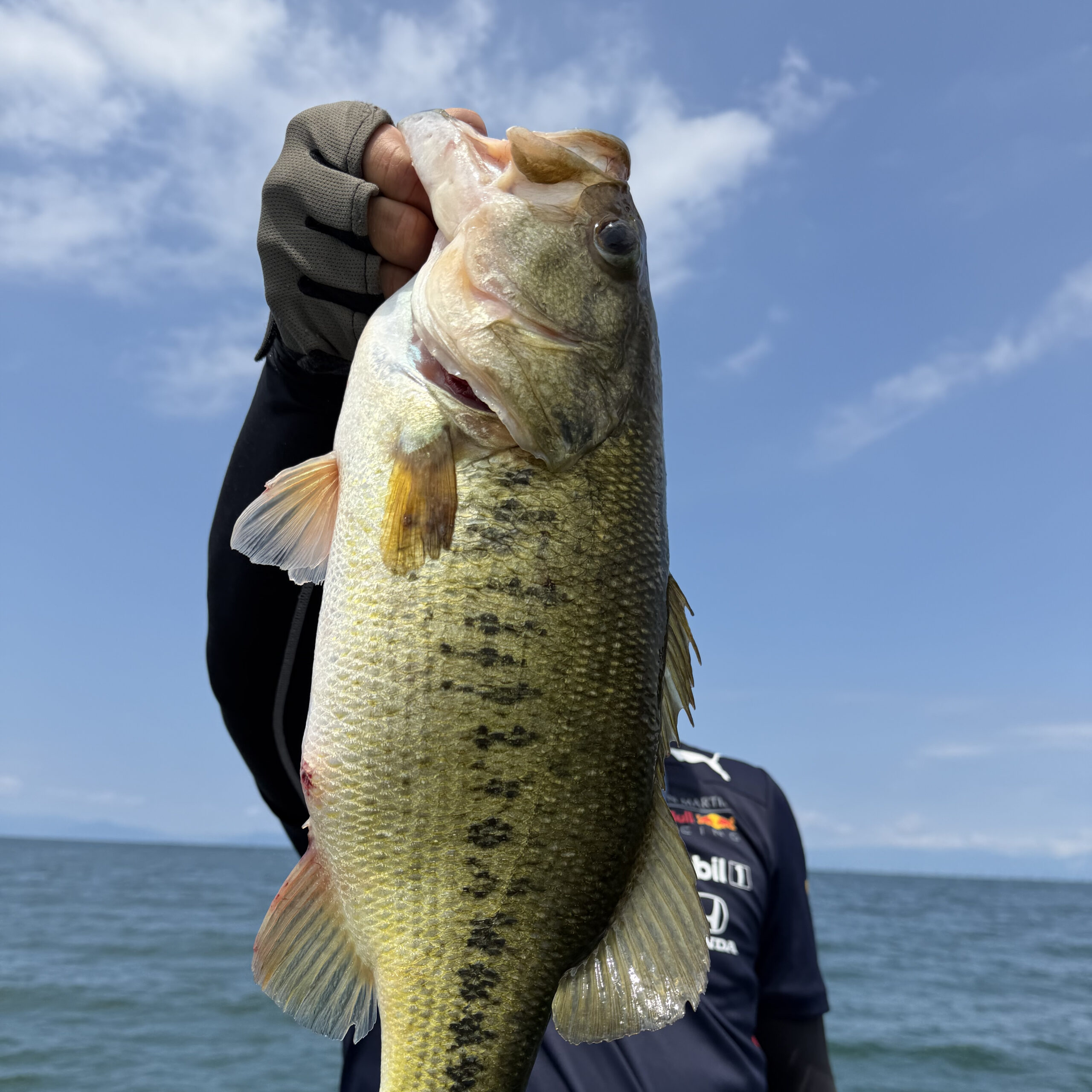 Largemouth bass caught with a JBFA guide on Lake Biwa, 2026-07-19