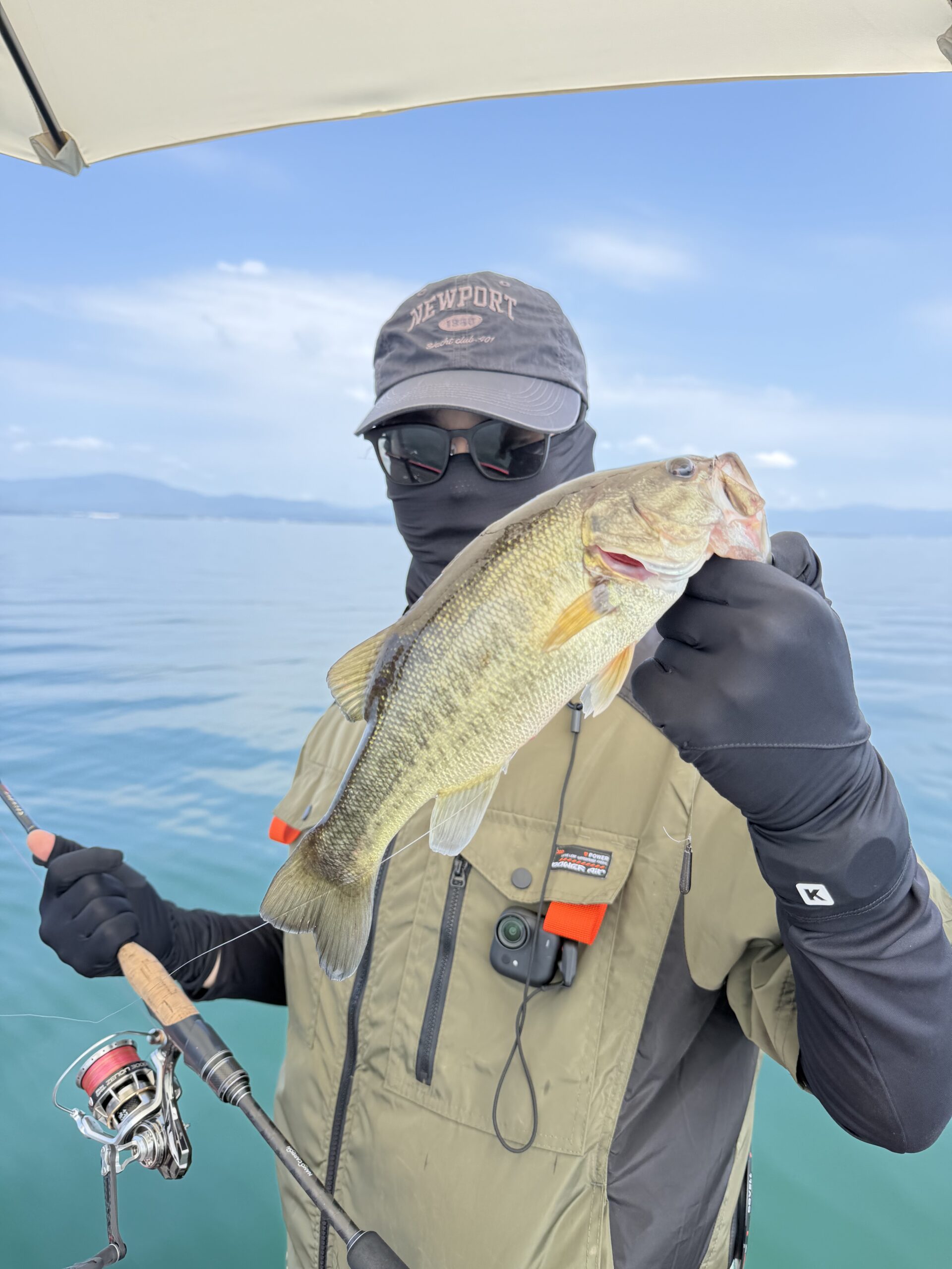 Largemouth bass caught with a JBFA guide on Lake Biwa, 2026-07-23