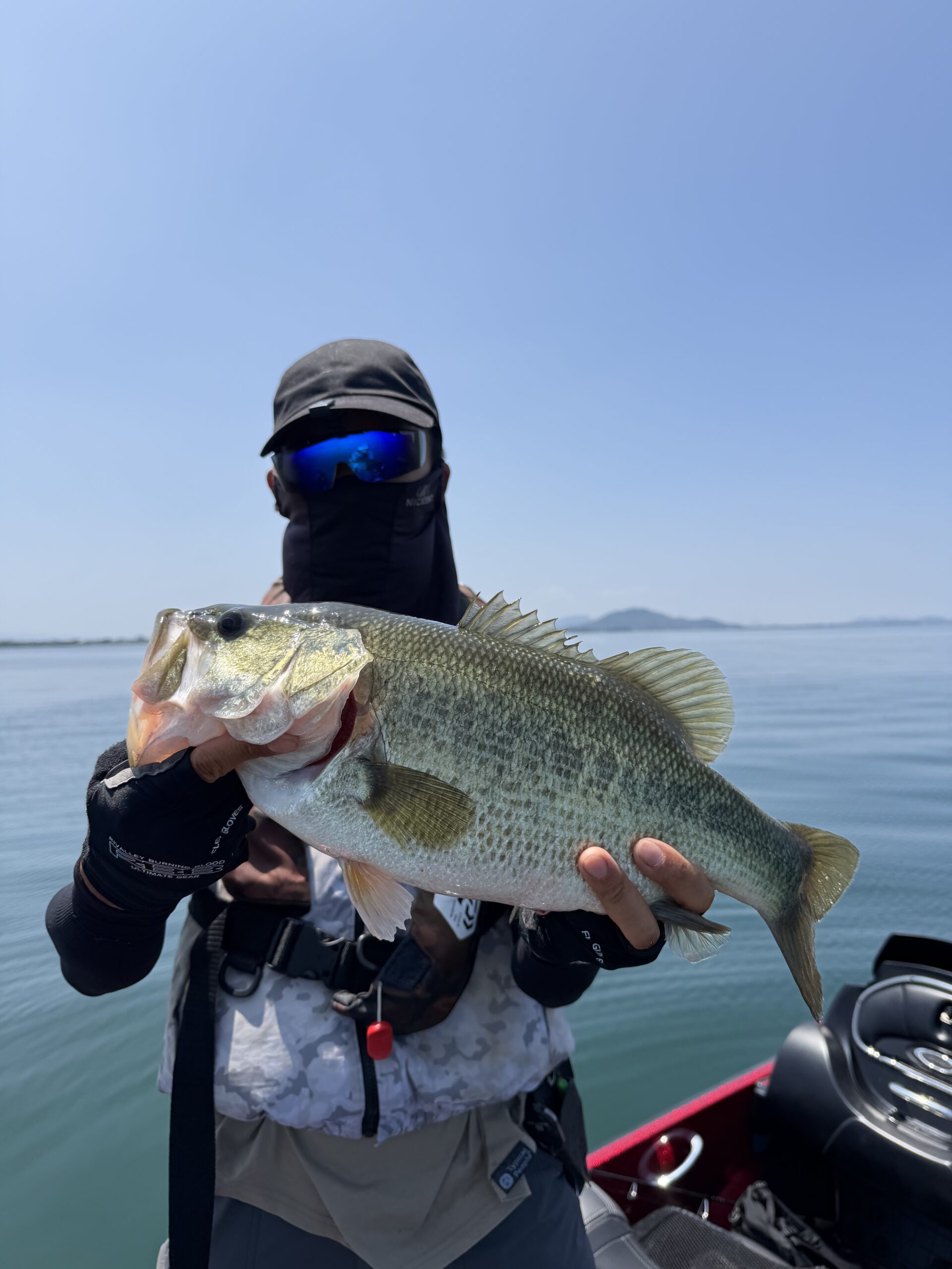 Largemouth bass caught with a JBFA guide on Lake Biwa, 2026-07-23