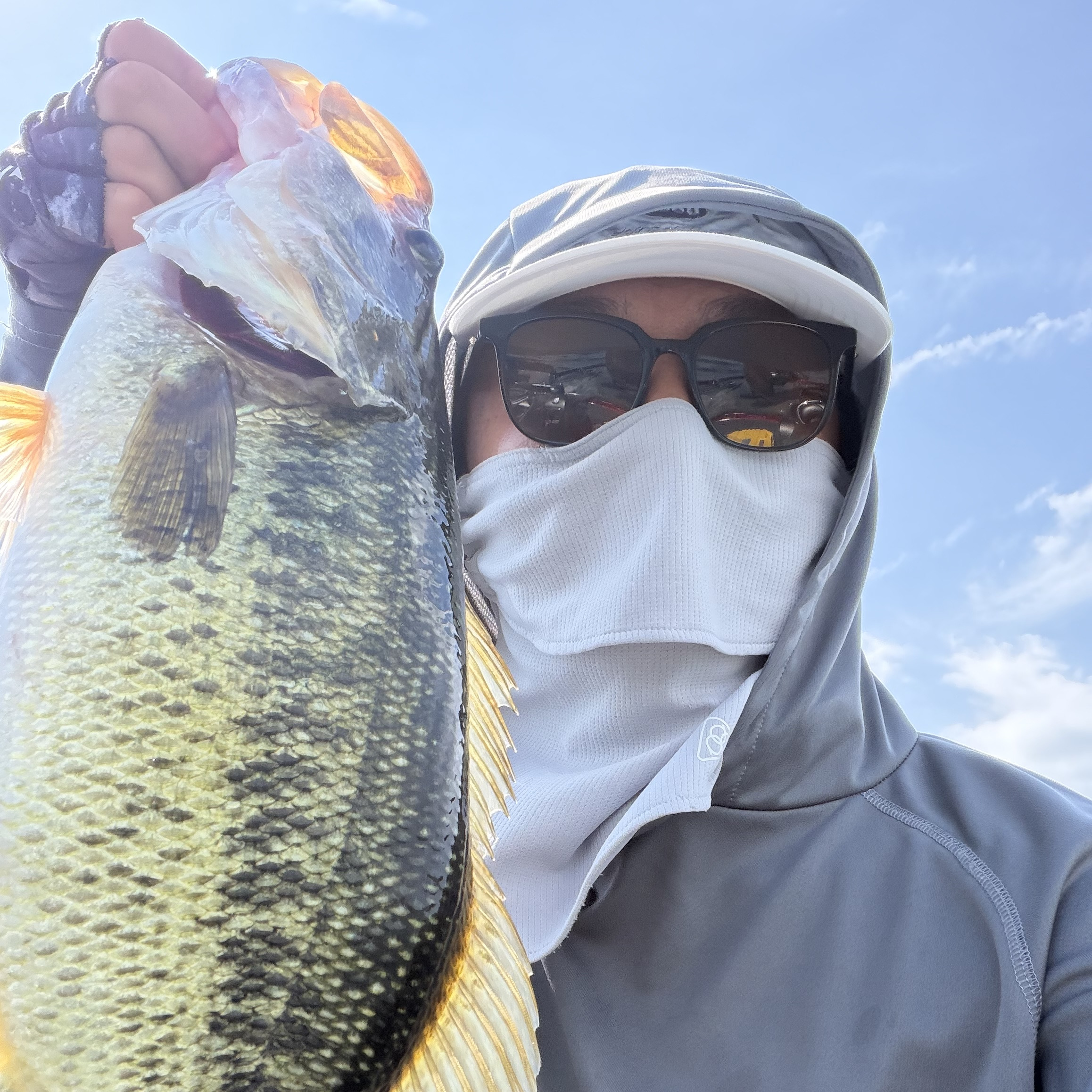 Largemouth bass caught with a JBFA guide on Lake Biwa, 2026-07-31