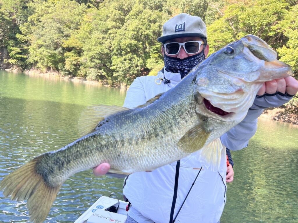 Scenery of Lake Ikehara, one of Japan's best bass fishing lakes
