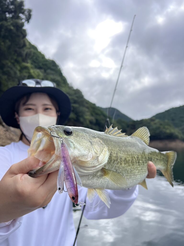 Scenery of Lake Ikehara, one of Japan's best bass fishing lakes