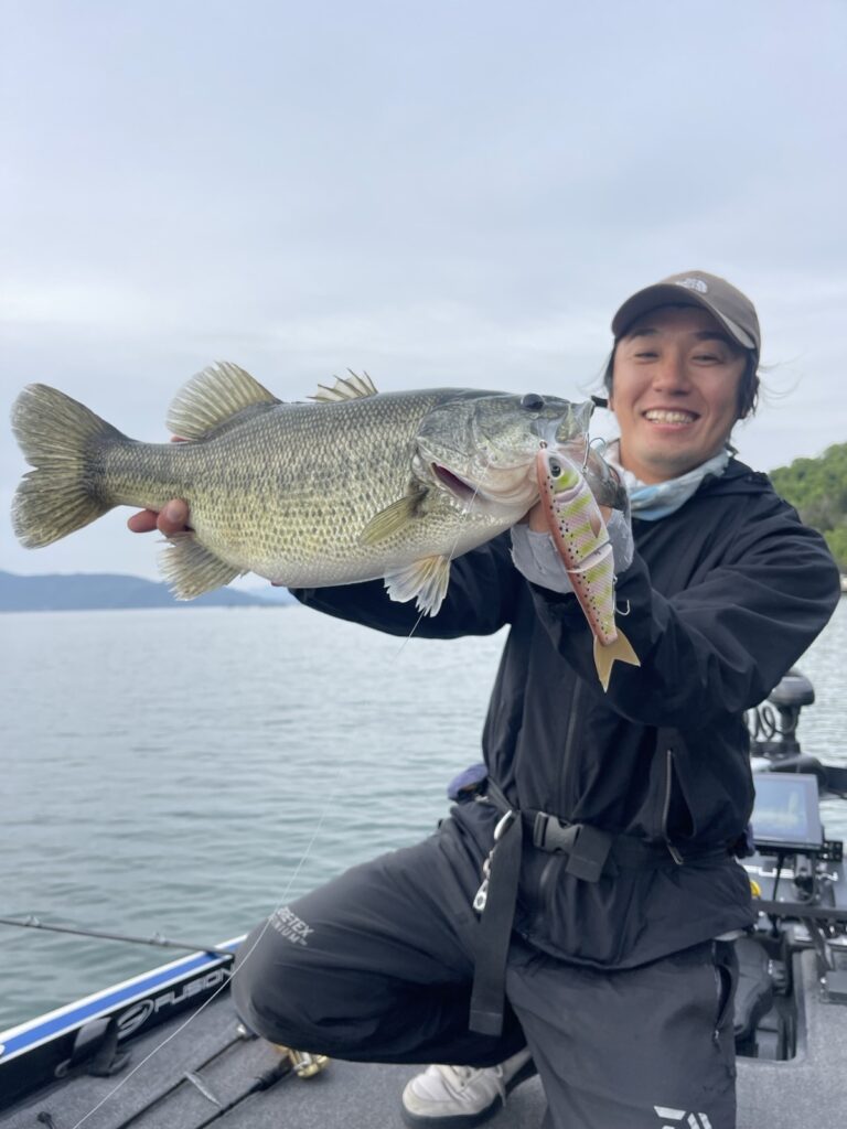 Deep-bodied, small-headed North Lake largemouth bass showing the compact 'football' shape