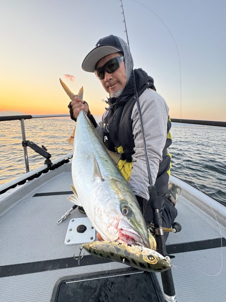 Buri (Japanese amberjack) caught on Osaka Bay