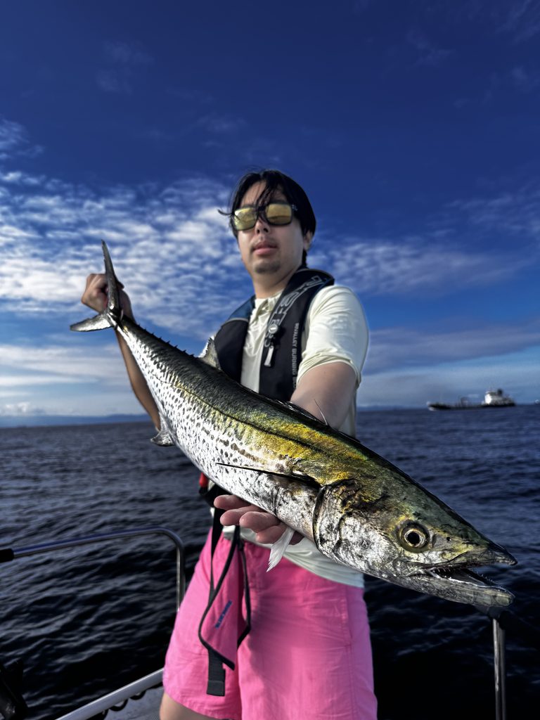 Sawara (Spanish mackerel) caught on Osaka Bay