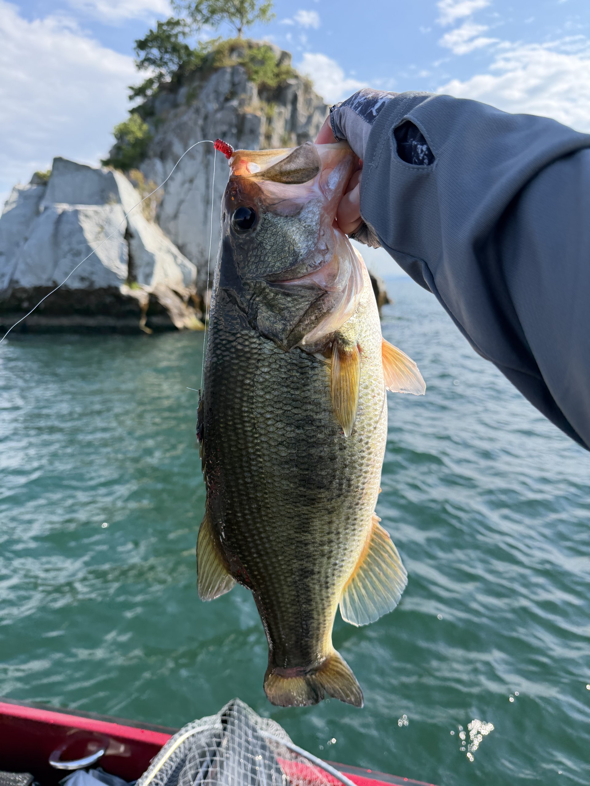Largemouth bass caught with a JBFA guide on Lake Biwa, 2026-08-21