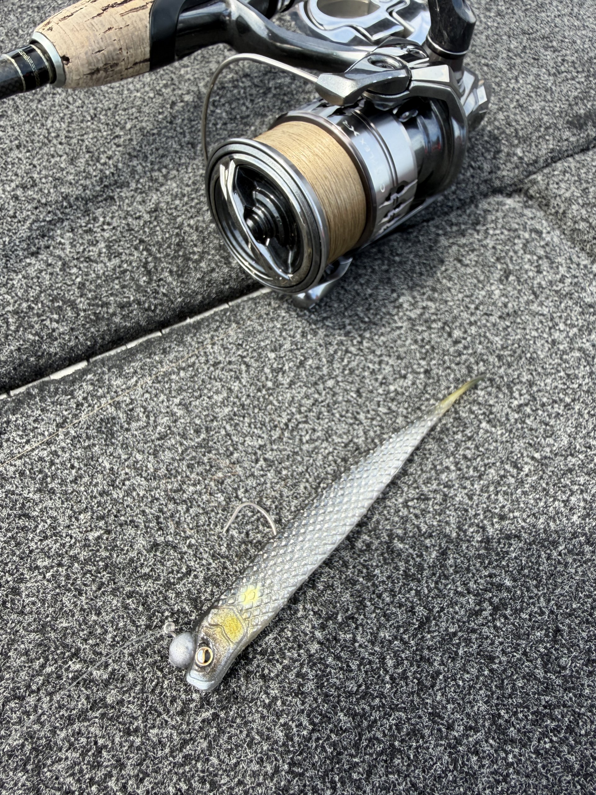 Finesse spinning tackle rigged with a small worm for Lake Biwa bass