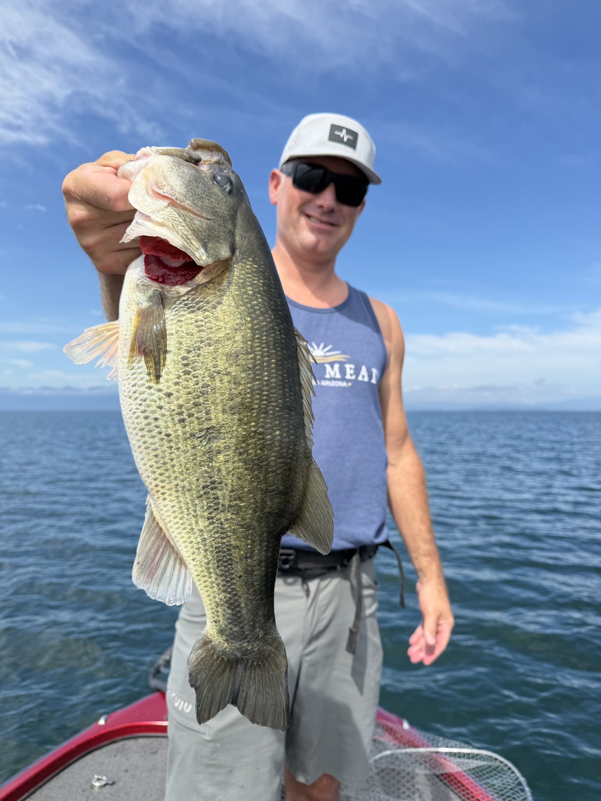 Largemouth bass caught with a JBFA guide on Lake Biwa, 2026-08-26