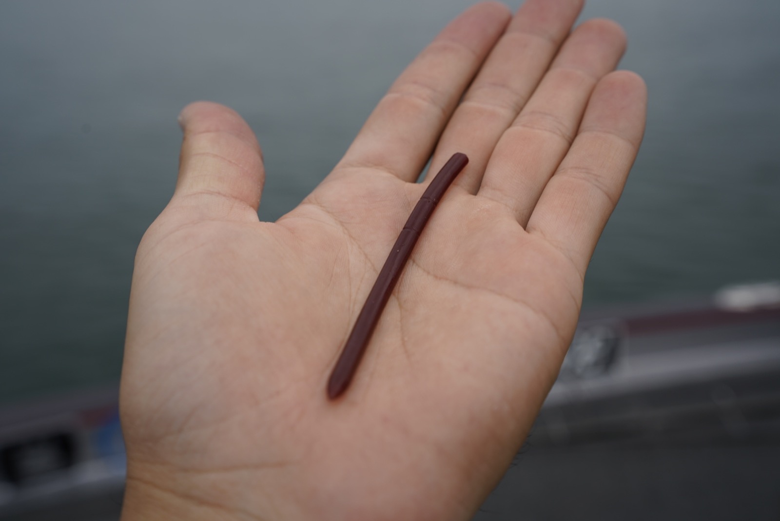 A 3.5 inch finesse worm, the lure a BFS reel is built to cast