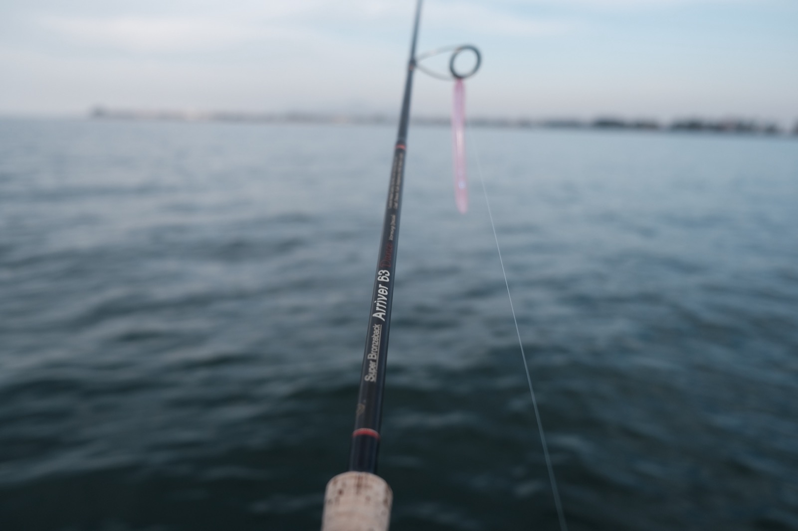 Medium-light spinning rod used for the heavy neko rig on Lake Biwa